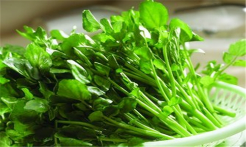 绿叶蔬菜养肝 绿色蔬菜食用注意事项