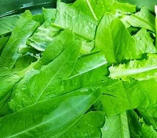 豆豉鲮鱼油麦菜2