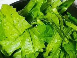 豆豉鲮鱼油麦菜4