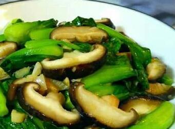 香菇油菜2
