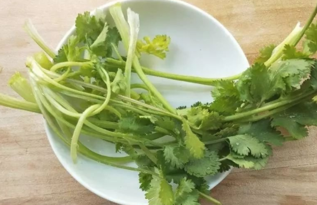 怎样做酸菜鱼 酸菜鱼的做法12