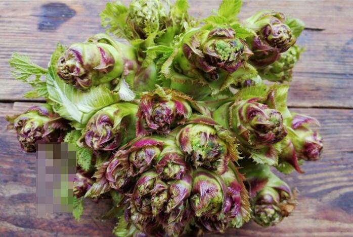 儿菜的吃法和做法