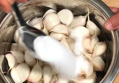 大蒜4